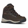 * Outdoor Shoes | Discount Columbia Newton Ridge Plus Hiking Shoes Women Cordovan, Crown Jewel