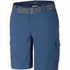 * Pants & Shorts & Skirts | Clearance Columbia Silver Ridge Ii Cargo Shorts Dark Mountain