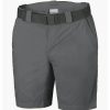 * Pants & Shorts & Skirts | Discount Columbia Silver Ridge Ii Shorts City Grey